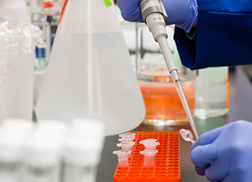 Enter Investing and Consulting